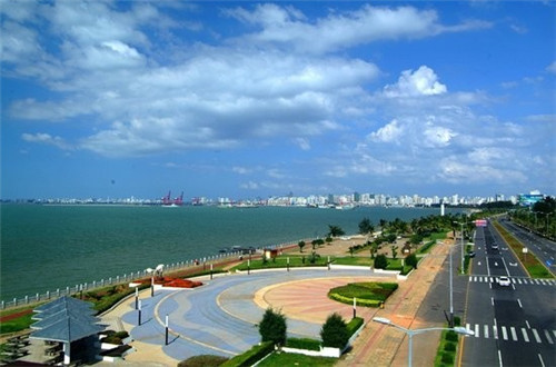 休闲板鞋加盟投资开店哪些项目好