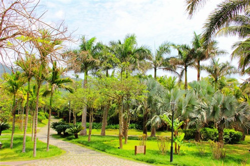 黄豆炒牛肉正宗做法（黄豆炒牛肉的家常做法窍门）