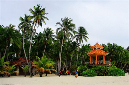 男宝起名张君什么好听（张君名字大全）