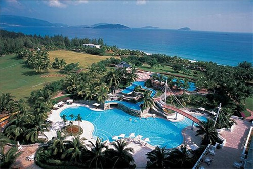 巨峰公司起名哪家价格透明（巨峰logo）