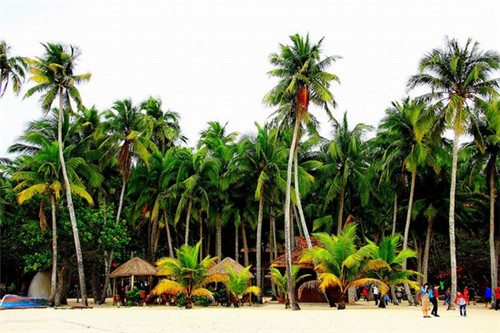 民乐县电线管加盟什么店赚钱小县城