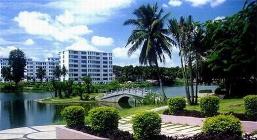 山姆锅具有哪些品牌（山姆自营铸铁锅怎么样）